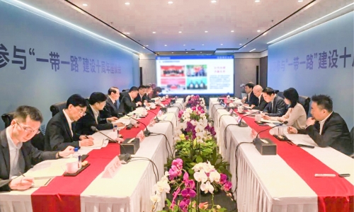浙商参加“一带一路”建设10周年座谈会召开，陈蕾董事长受邀参会并作主题讲话