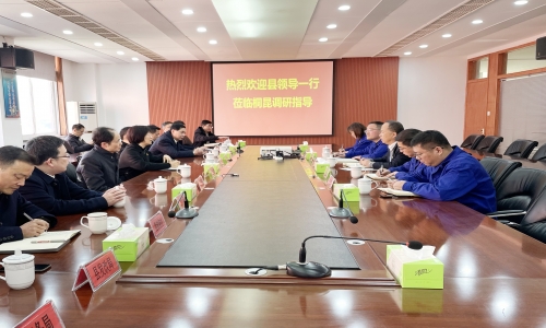 长兴县委书记石一婷率县四套班子辅导莅临恒腾调研领导